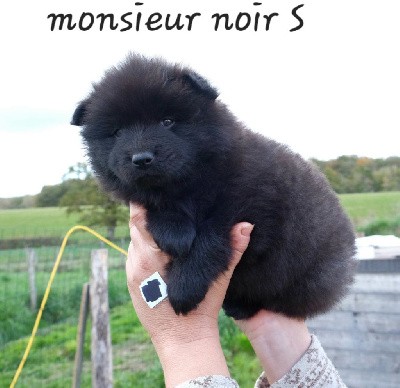 Monsieur noir