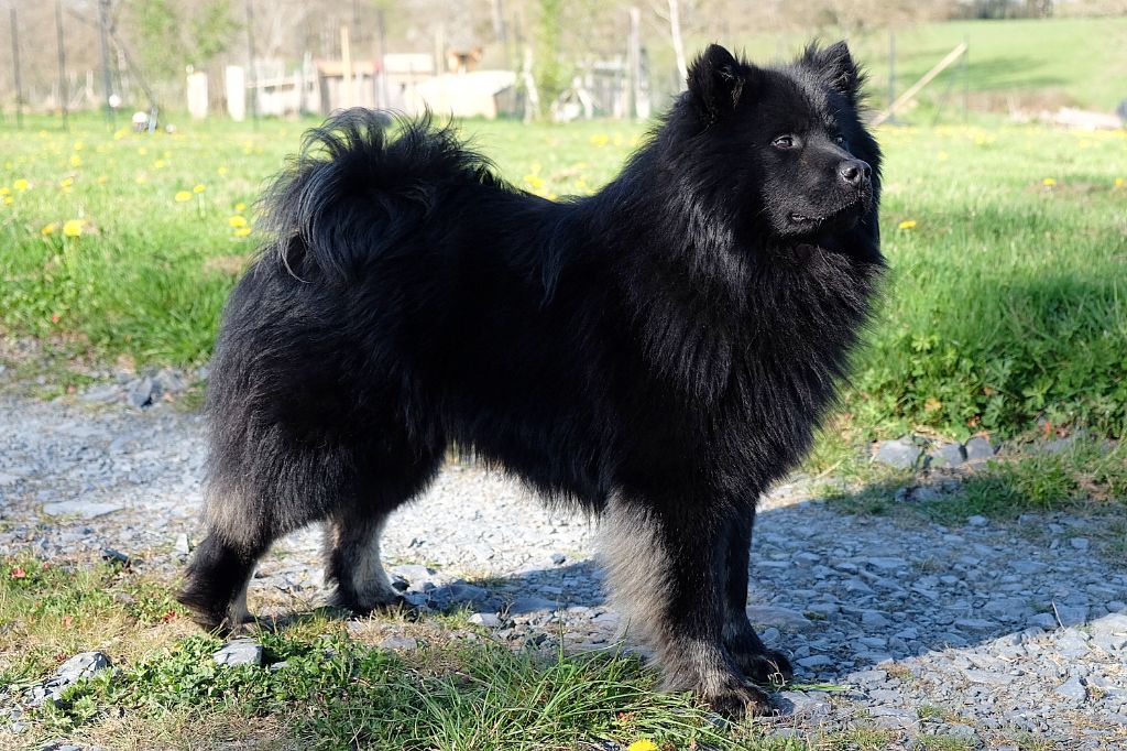 Voskhod solntsa s lunezhskikh gor